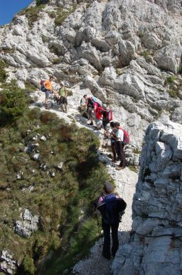 Kliknite za ogled večje slike