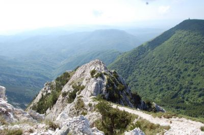 Kliknite za ogled večje slike