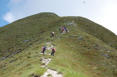 Kliknite za ogled večje slike