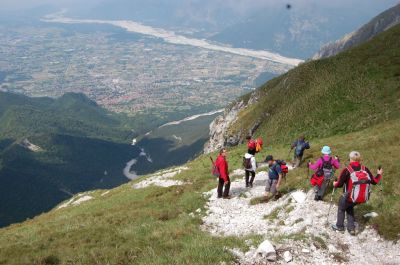 Kliknite za ogled večje slike