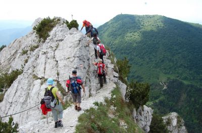 Kliknite za ogled večje slike