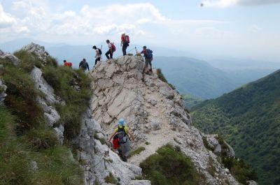 Kliknite za ogled večje slike
