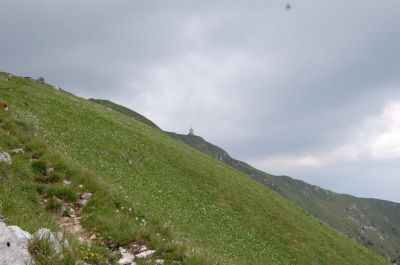 Kliknite za ogled večje slike