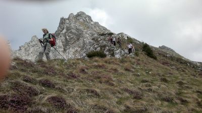 Kliknite za ogled večje slike