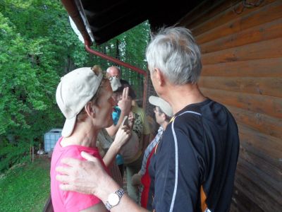 Kliknite za ogled večje slike