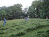 DSC01912.JPG