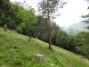 DSC01924.JPG