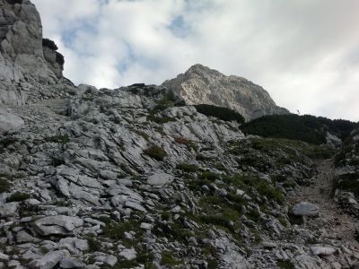 Kliknite za ogled večje slike
