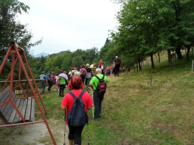 Kliknite za ogled večje slike