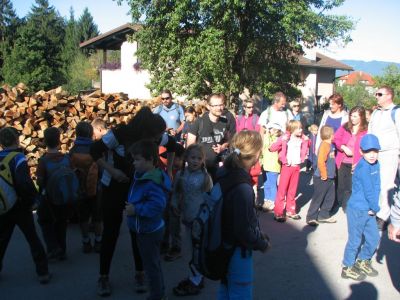 Kliknite za ogled večje slike