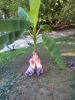 DSC02770.JPG