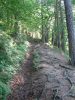 IMG_3991.JPG