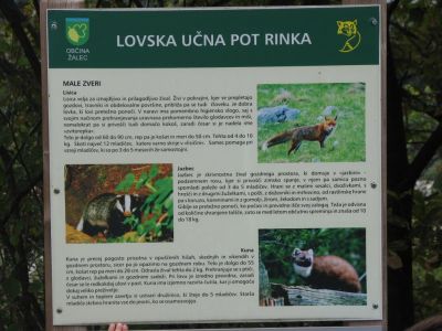 Kliknite za ogled večje slike