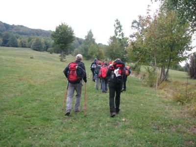 Kliknite za ogled večje slike