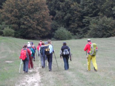 Kliknite za ogled večje slike