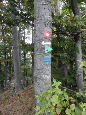 Kliknite za ogled večje slike