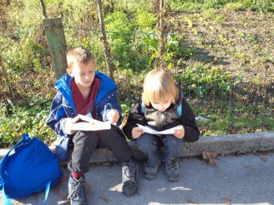 Kliknite za ogled večje slike