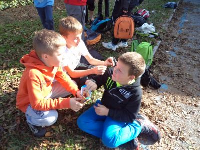 Kliknite za ogled večje slike