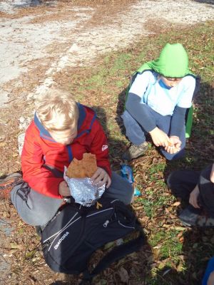 Kliknite za ogled večje slike