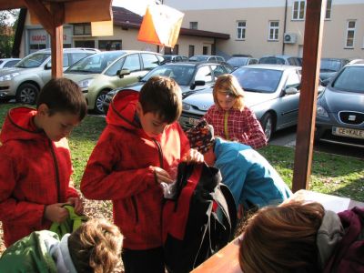 Kliknite za ogled večje slike