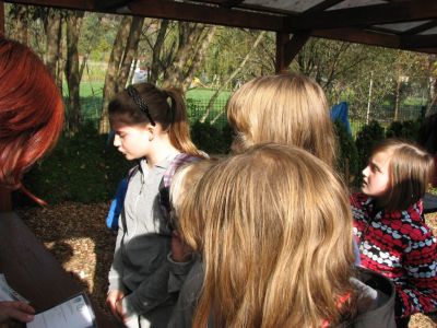 Kliknite za ogled večje slike