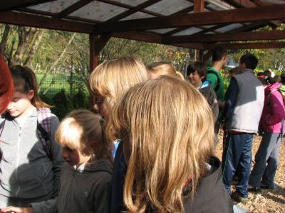 Kliknite za ogled večje slike