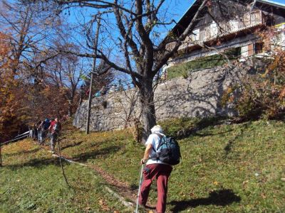 Kliknite za ogled večje slike