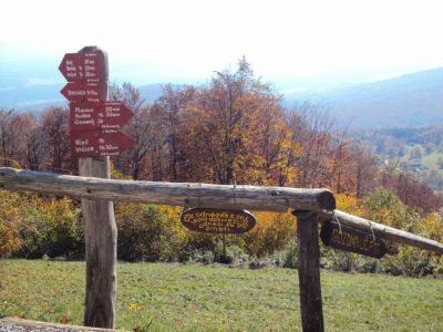 Kliknite za ogled večje slike