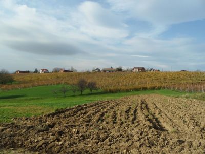 Kliknite za ogled večje slike