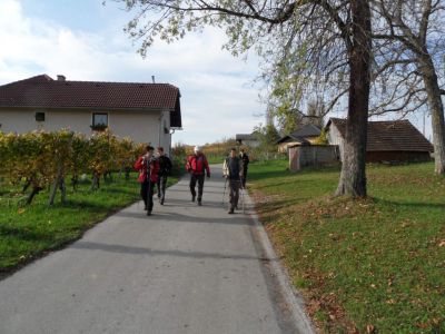 Kliknite za ogled večje slike