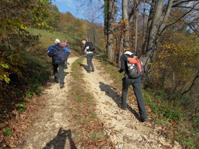 Kliknite za ogled večje slike