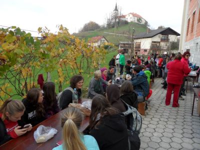 Kliknite za ogled večje slike