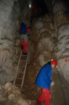 Kliknite za ogled večje slike