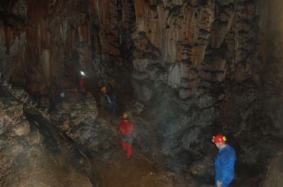 Kliknite za ogled večje slike