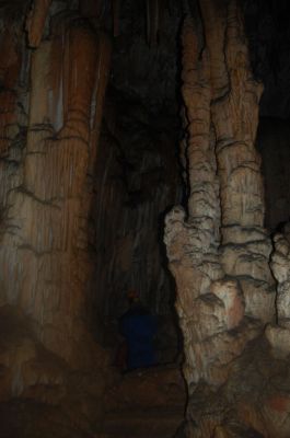 Kliknite za ogled večje slike