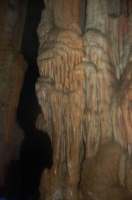 Kliknite za ogled večje slike