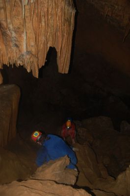 Kliknite za ogled večje slike