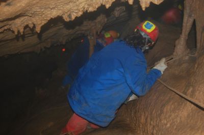 Kliknite za ogled večje slike