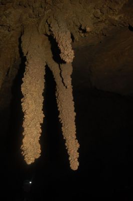 Kliknite za ogled večje slike