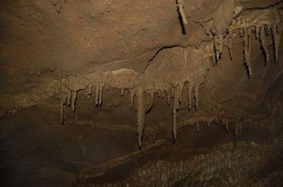 Kliknite za ogled večje slike