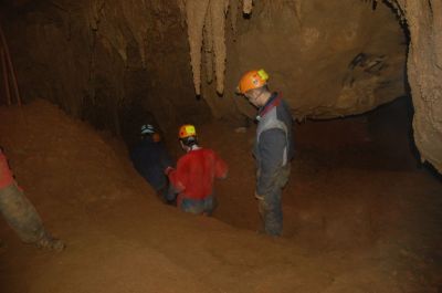 Kliknite za ogled večje slike