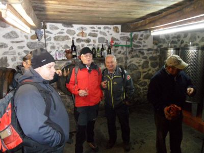 Kliknite za ogled večje slike