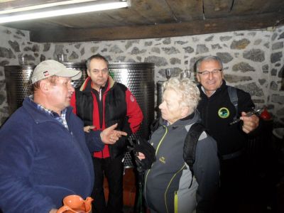 Kliknite za ogled večje slike