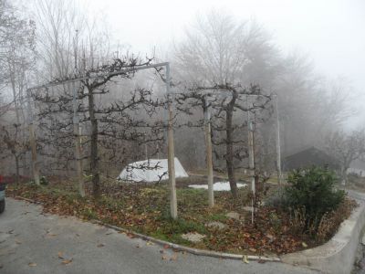Kliknite za ogled večje slike