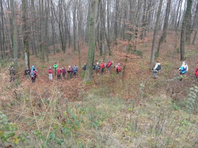 Kliknite za ogled večje slike