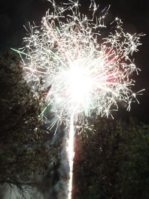 Kliknite za ogled večje slike