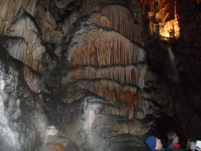 Kliknite za ogled večje slike