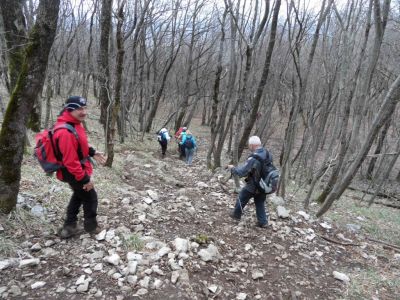 Kliknite za ogled večje slike