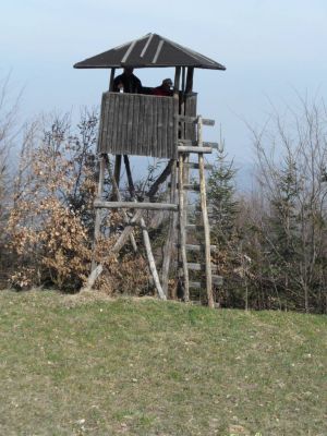 Kliknite za ogled večje slike