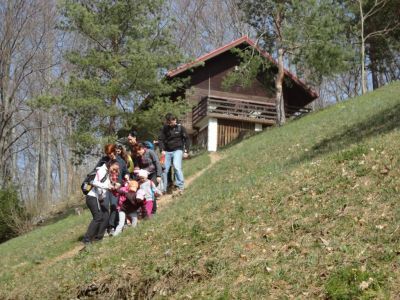 Kliknite za ogled večje slike